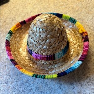Dog Sombrero